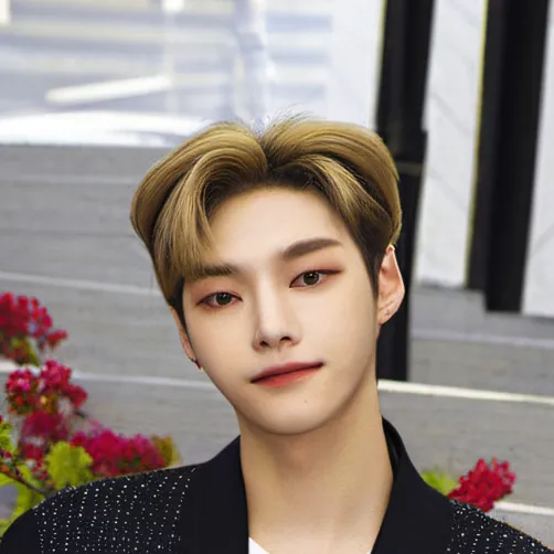 chat with ai character: Stray kids