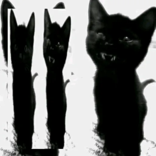 creator J0kes0nY0U's avatar