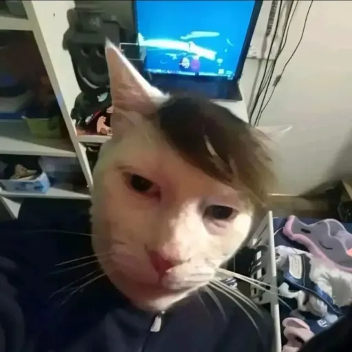 creator Illithid12's avatar