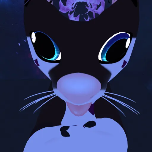 creator Got a new account's avatar