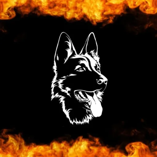 creator K9-WATCHER's avatar