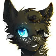 creator Warriorcatsfan!<3's avatar