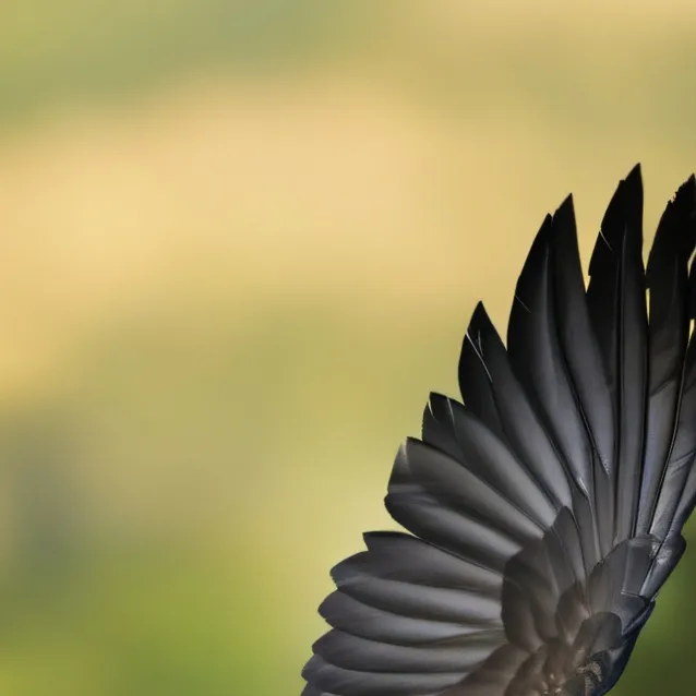 chat with ai character: Sabito's Crow