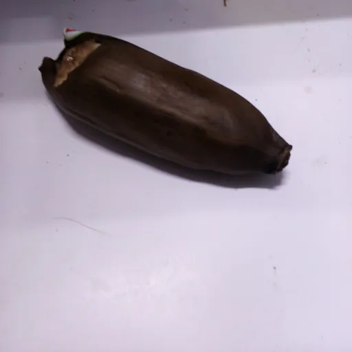 creator Rotten banana's avatar