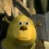 creator ShrekLOVER's avatar