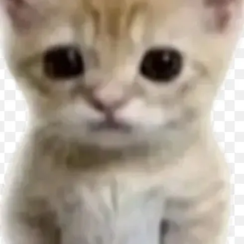 creator slowww!'s avatar