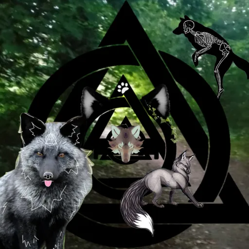 creator kalisee's avatar