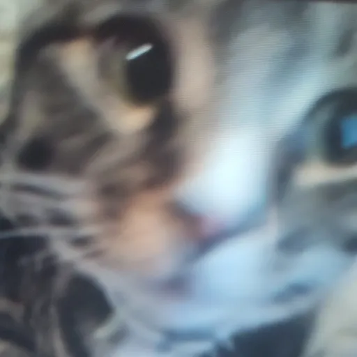 creator Rick Toast's avatar