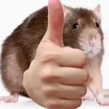 creator Sturkie's avatar