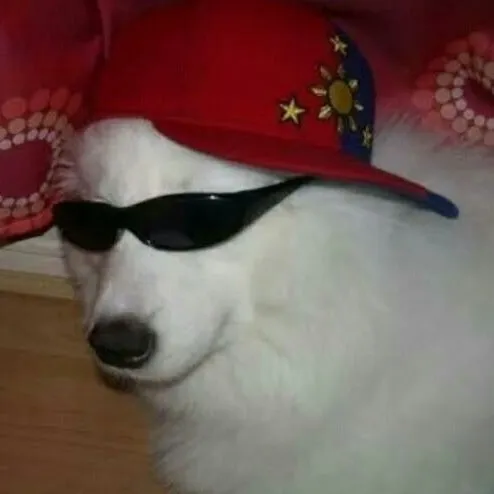 creator Blueeprintzv's avatar