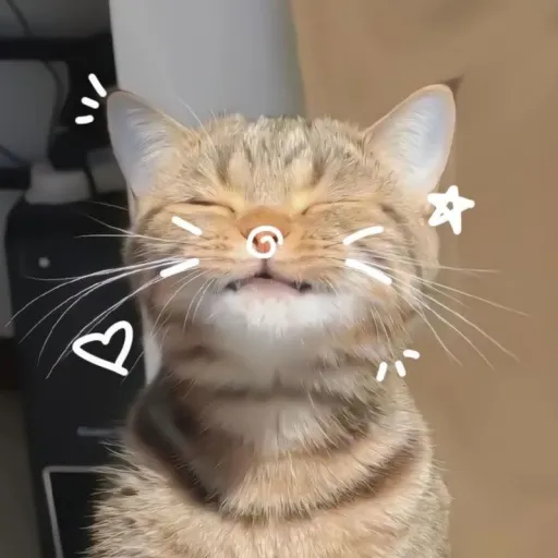 creator ⏤͟͟͞͞✰𝖗𝖔𝖎𝖎𝖎's avatar