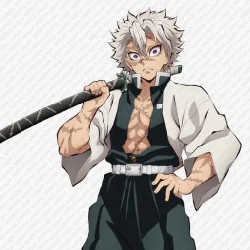 creator Sanemi/salami's avatar