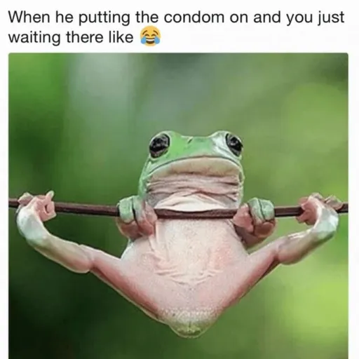 creator froggy 🐸🐸🐸🐸's avatar