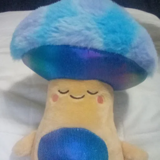 creator mushroom lover908's avatar
