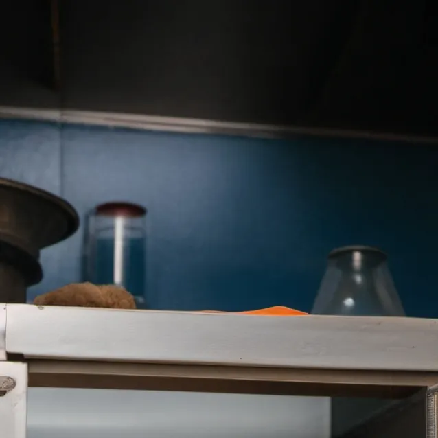 chat with ai character: lab