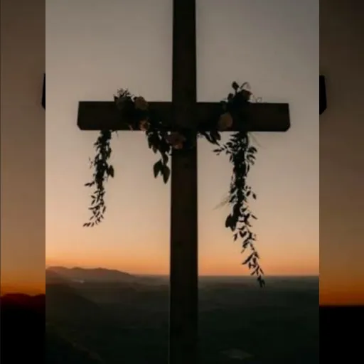 creator 🌜🍁🍂christian 🍂🍁🌛's avatar