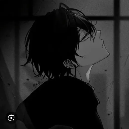 creator 金切り声/screech's avatar