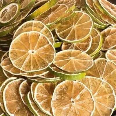 creator 1x1x1x's limes's avatar