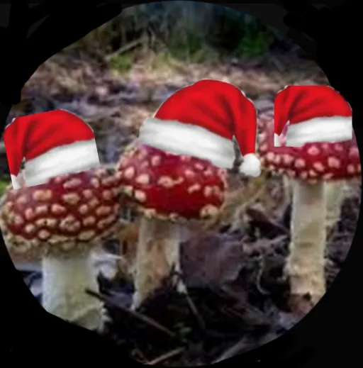 creator the unlucky 🍄's avatar