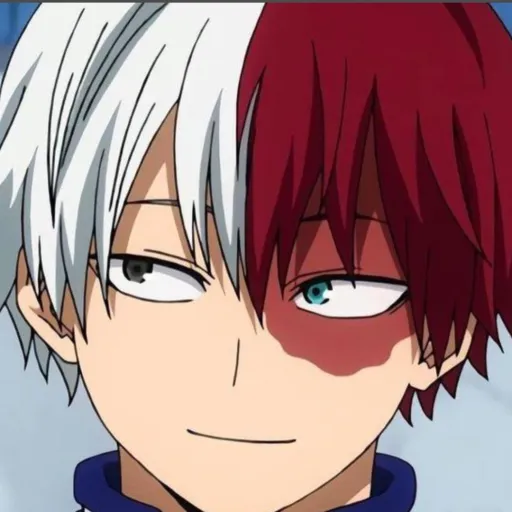 creator shoto🔴⚪Todoroki's avatar