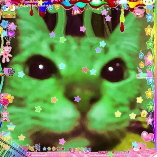 creator ☆•°•STAR•°•☆'s avatar