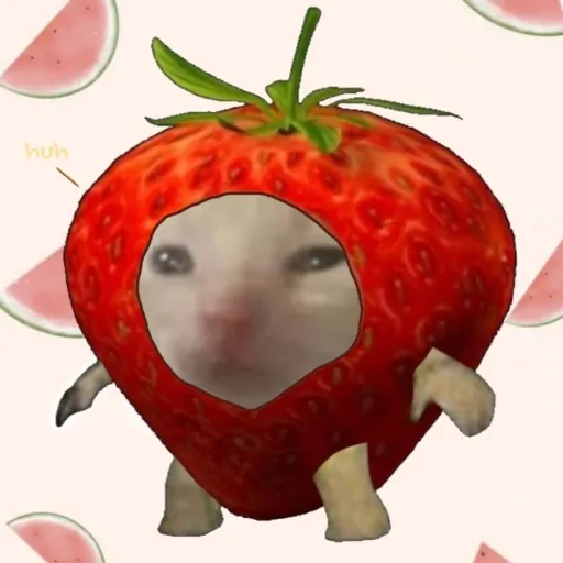 creator =^•-•^='s avatar