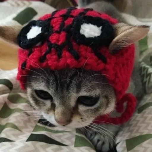 creator ZeeBby's avatar