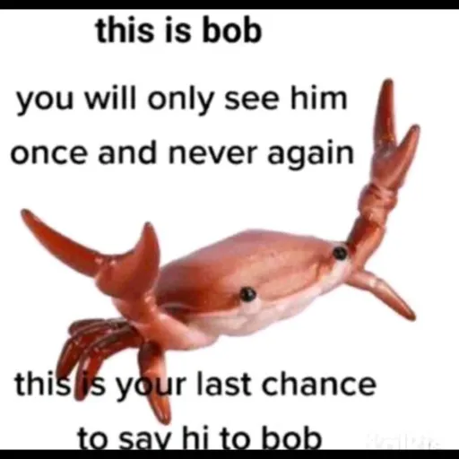 creator meet 🤩Bob😍 we love's avatar