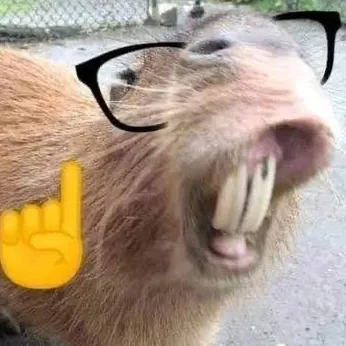 creator Hehetroll's avatar