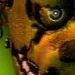 chat with ai character: FNAF 3