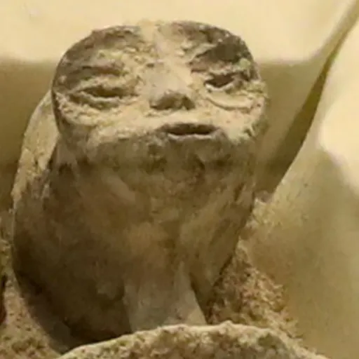 creator alienfromearth's avatar