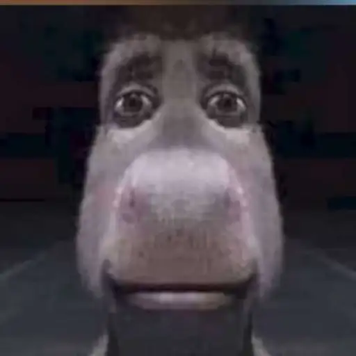 creator A11y53's avatar