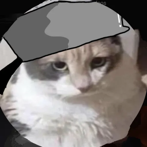 creator nuggetmaster.'s avatar
