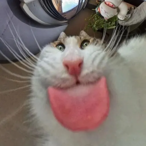 creator The Gleegler's avatar
