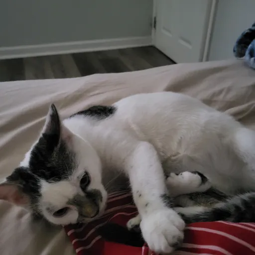 creator Neptune (?)'s avatar