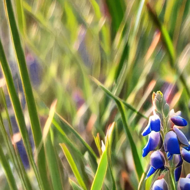 chat with ai character: Grass 