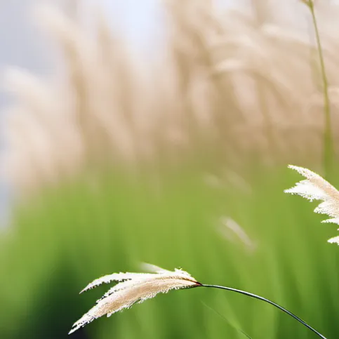 chat with ai character: Grass