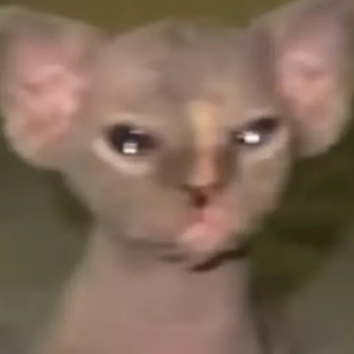 creator ugly ass cat💅💀💅's avatar