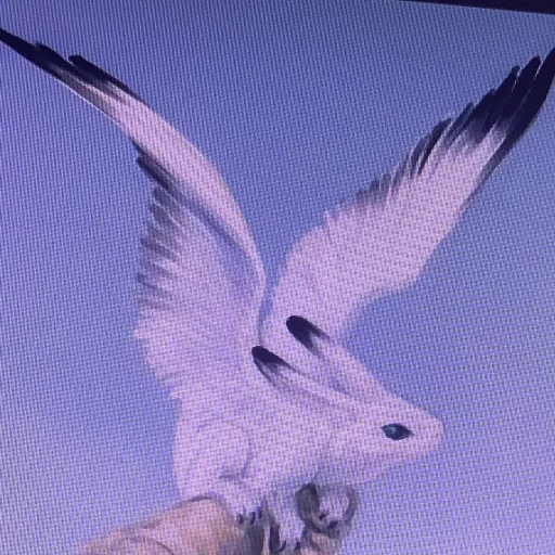 creator TheRabbitHawk's avatar