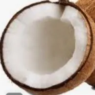 creator coconut production's avatar