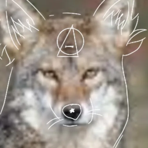 creator 🐾RosieOnPaws🍃's avatar