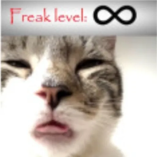 creator kittenweirdmaker's avatar