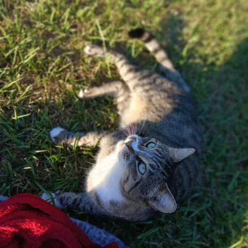 creator ~Lea~'s avatar