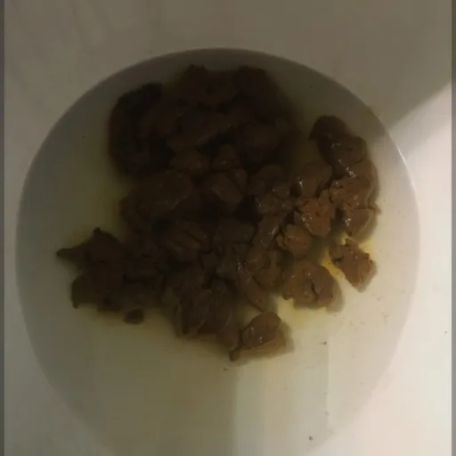 creator poopybuttcheeks's avatar