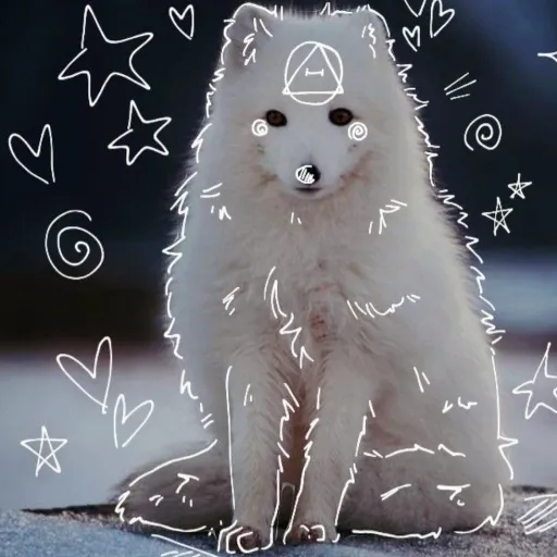 creator 🐾snowy on paws🐾's avatar