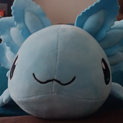 creator da mara's avatar