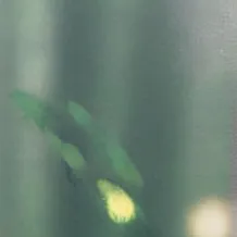 chat with ai character: Harry Potter🍏⚡️