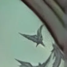 chat with ai character: Draco Malfoy 