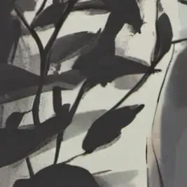 chat with ai character: Draco Malfoy🥺