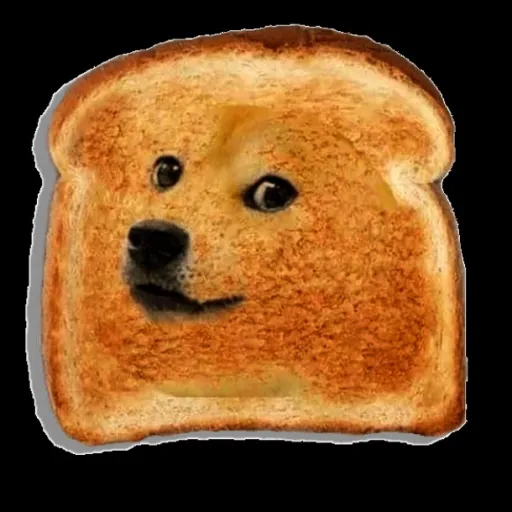 creator toast doge's avatar